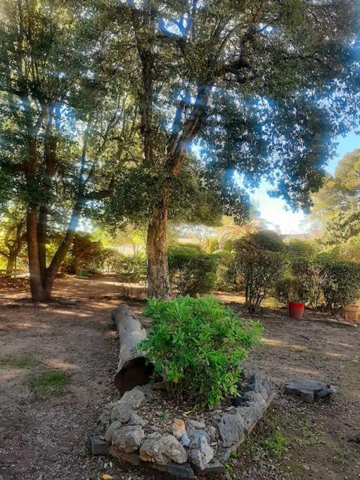 à Fréjus